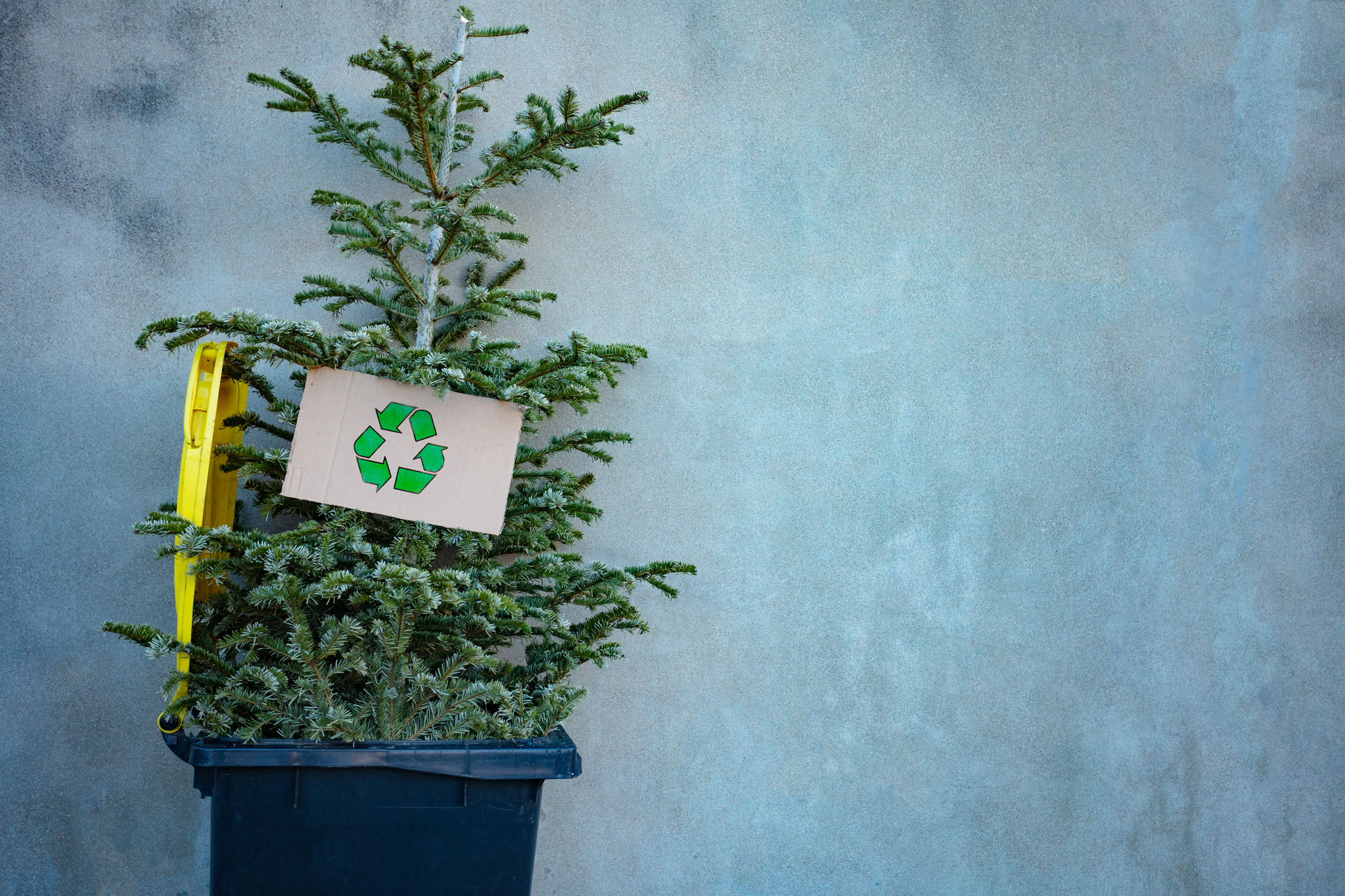 Waste Removal For The Holiday Season